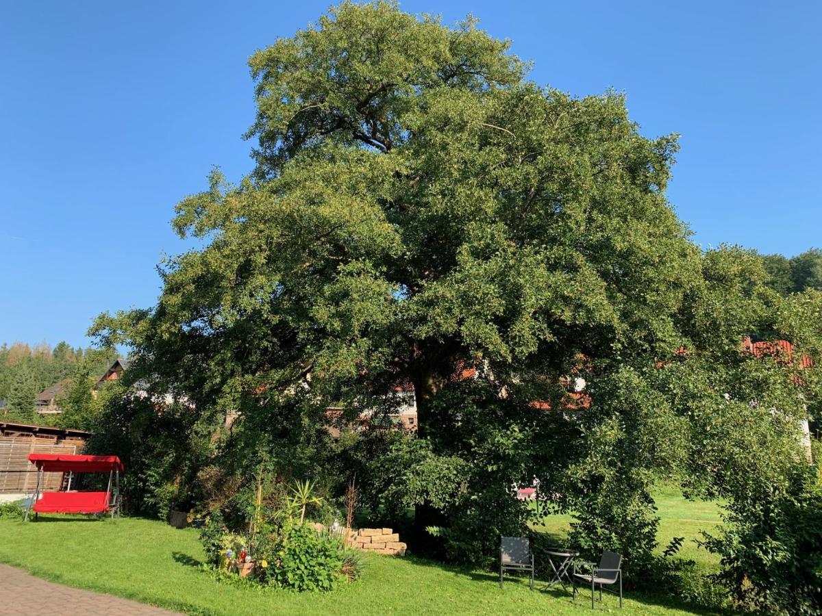 Ferienwohnung Am Rennsteig Bei Eisenach - Ilona Schmidt Wolfsburg-Unkeroda Екстер'єр фото